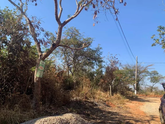 Imagem EXCELENTE LOTE, EM MATEUS LEME!