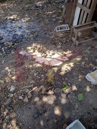 Imagem Terreno no Papagaio