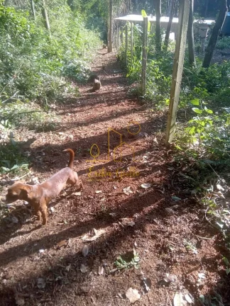 Imagem Terreno a Venda no bairro Ponunduva