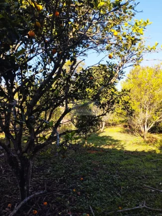 Imagem CHÁCARA JARDIM CANANÉIA PILAR DO SUL-SP