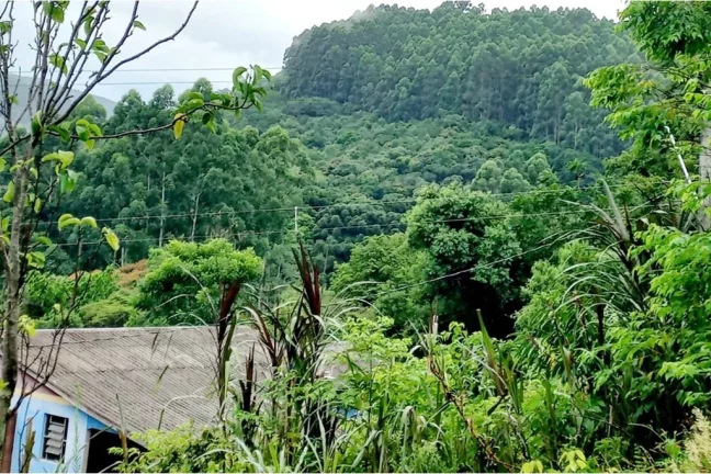 Imagem CLBG 120 Lote 612511062-6 - Fazenda à venda no bairro Riozinho - Riozinho/RS