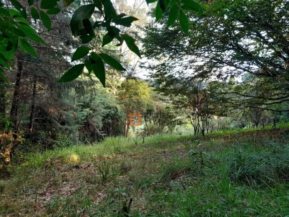 Imagem Terreno à venda, 700 m² por R$ 145.000,00 - Tenentes - Extrema/MG