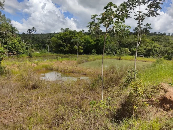 Imagem Chacara De Lazer A 50 Km De Caldas Novas Em Santa Cruz De Goias
