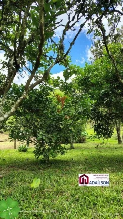 Imagem SÍTIO DOS SONHOS EM ANGELINA - SC Brasil