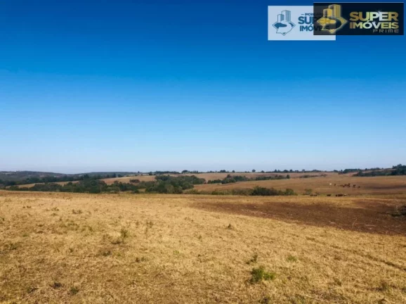 Imagem Fazenda para Venda em Herval-RS 288 hectares