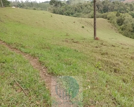 Imagem Sítio 20 ha ou 8,26 alq. a venda, para café, gado Jacui Sul de Minas Gerais