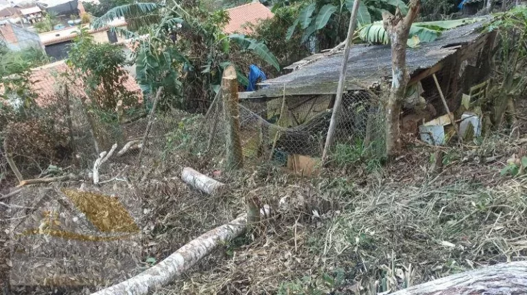 Imagem Vendo Terreno com 7800 mts² em Varginha