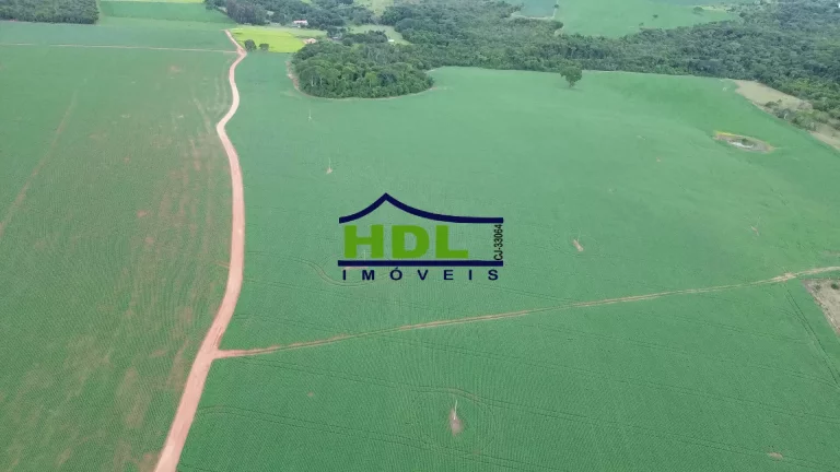 Imagem Fazenda 70 Alqs Dupla Aptidão plantada em Soja em Bela Vista GO