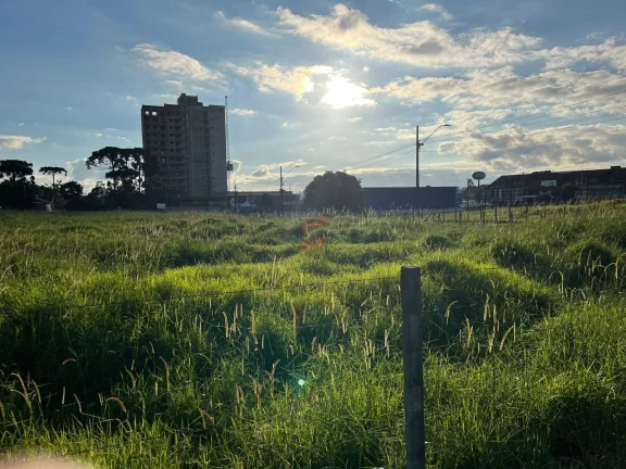 Imagem ÁREA à venda com 5513.17m² por R$ 8.269.755,00 no bairro Centro - PINHAIS / PR