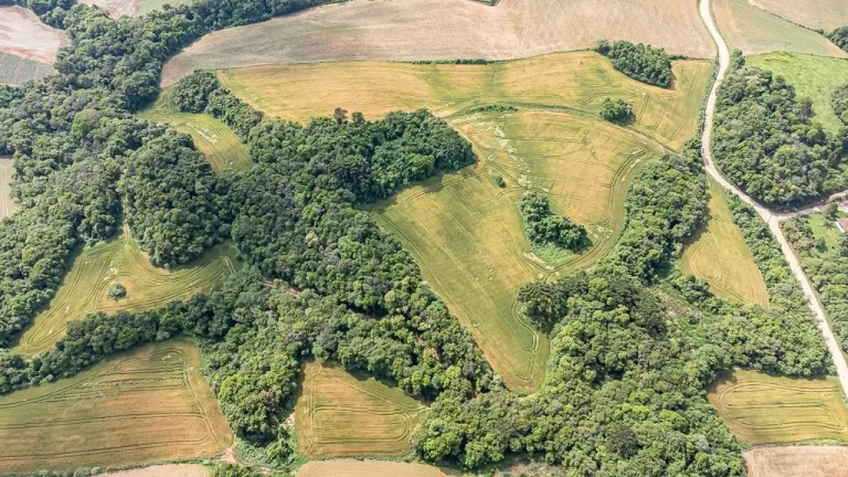 Imagem Chácara com 6 alqueires em Campo Magro