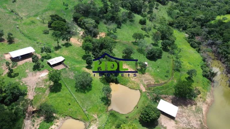 Imagem Fazenda Top para Criação de Gado 100 Kms de Goiânia