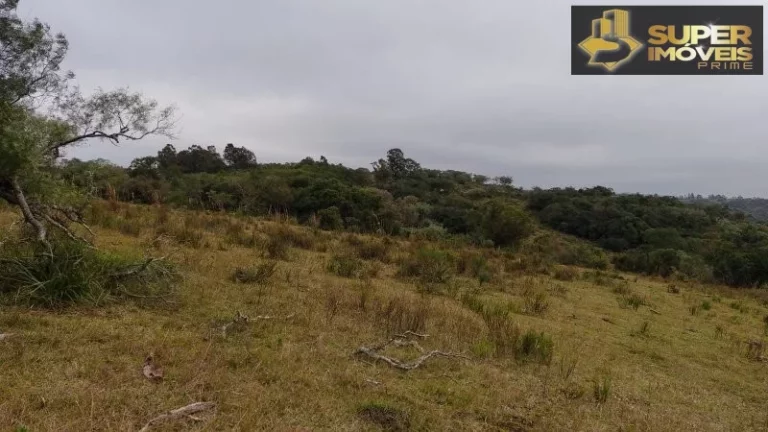 Imagem Fazenda para Venda em Centro Canguçu-RS - 2055