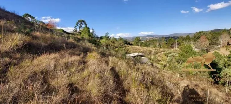 Imagem Lote com vista permanente