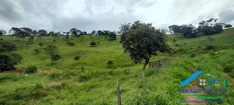 Imagem Invista em Sustentabilidade: Sítio com Nascentes e Preservação