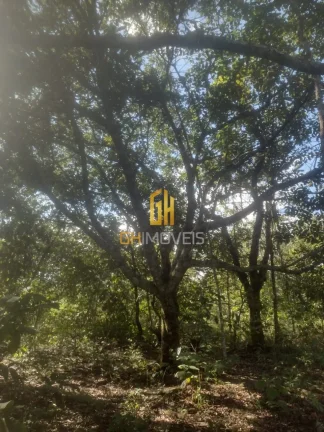 Imagem Chácara em Bela Vista de Goiás 

- Área total: 2 hectares; 
- Bela vista de Goiás 
- Entrada no ...