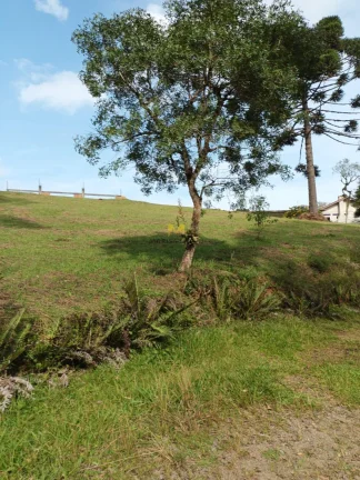 Imagem Chácara à venda em Piraquara, próxima ao Novo Projeto do Santuário Terra Prometida, do Padre Reginaldo Manzotti!!!
