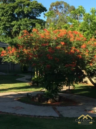 Imagem Casa á Venda com 3 quartos (1 Suíte) 4 vagas - Esplanada do Carmo - Jarinu/SP