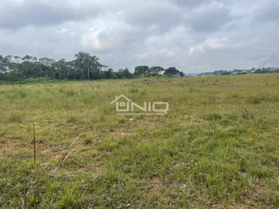 Imagem Terreno em Araucária PR - Parque Industrial Thomás Coelho