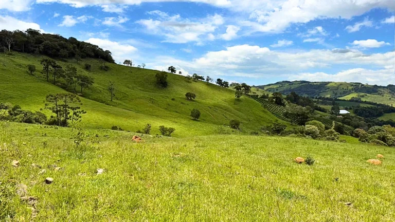 Imagem Área exclusiva com vista para a Mantiqueira