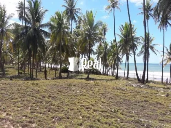 Imagem Terreno Pé na Areia