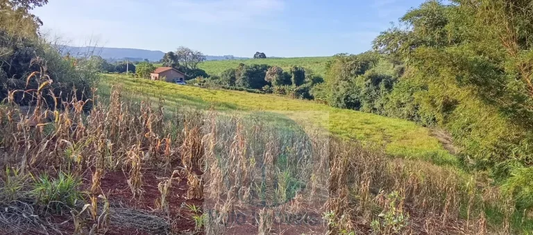Imagem Chácara 10.000 metros R$ 350.000 em Santo Antônio da Alegria - SP.