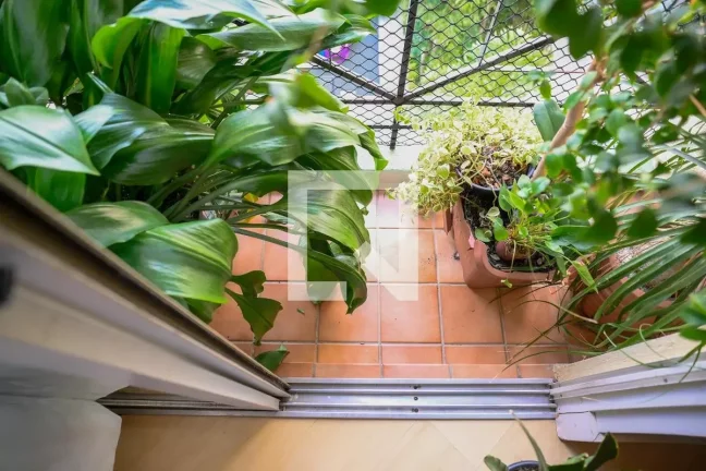 Imagem Apartamento à Venda - Aclimação, 3 Quartos, 67 m2