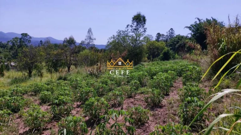 Imagem Chácara - Sítio com 1 Dormitorio(s) localizado(a) no bairro Zona Rural em Araricá / RIO GRANDE DO SUL Ref.:1584