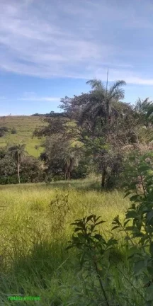 Imagem TERRENO NO BAIRRO CIDADE NOVA I , EM JUATUBA
COM ÁREA DE 4.000 M²
ÁGUA E LUZ
FÁCIL ACESSO PARA A...