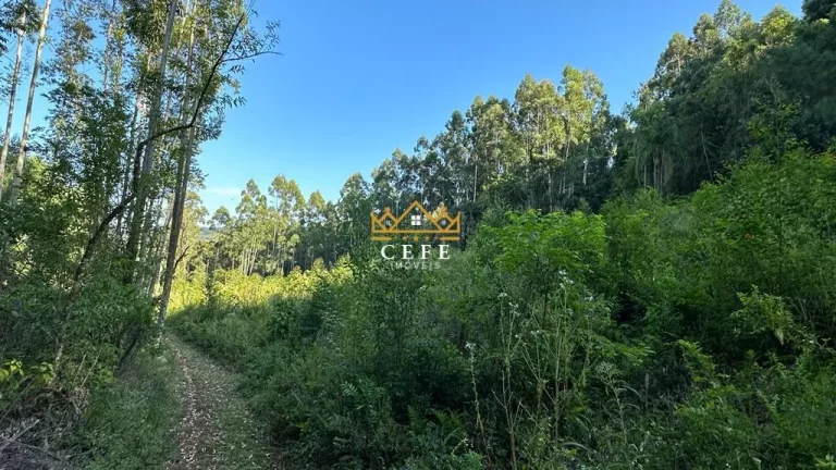 Imagem Chácara - Sítio com 1 Dormitorio(s) localizado(a) no bairro Pinhal Alto em Nova Petrópolis / RIO GRANDE DO SUL Ref.:1472