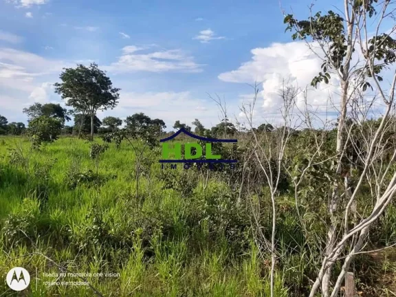 Imagem Fazenda 318 Alqs Barranca do Rio Araguaia em Araguaiana/MT