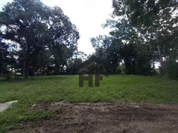 Imagem Chácara com 4 Quartos à Venda, 98.000 m² em Guadalajara - Paudalho