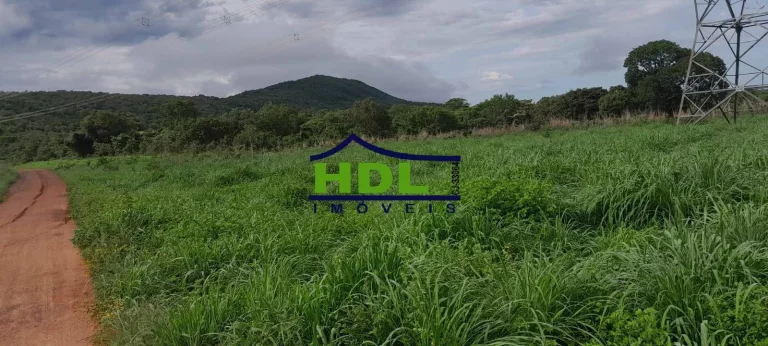 Imagem Fazenda 240 Alqs Dupla Aptidão em Peixe TO