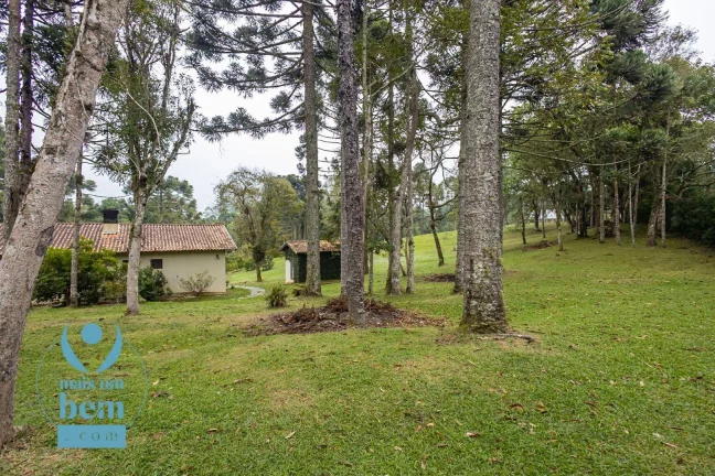 Imagem Belíssima Chácara com 3 dormitórios à venda, 6000 m² por R$ 1.400.000 - Salgadinho - Campo Largo/PR