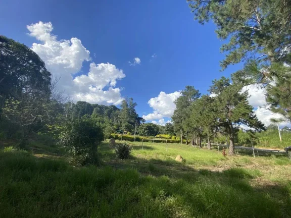 Imagem Terreno à Venda com 97.585,16 m2 na Colônia Rodrigo Silva