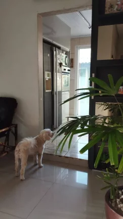 Imagem Casa com 4 Quartos à Venda, 280 m² em Santa Rosa - Sarzedo