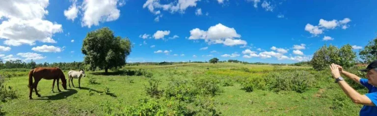 Imagem Fazenda à Venda, 251 m²