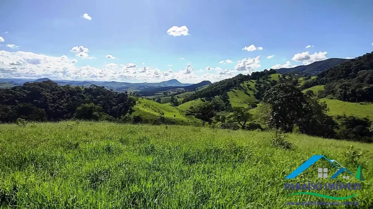 Imagem Paraíso Particular: 14,32 ha, com Vista Panorâmica e Natureza Preservada!