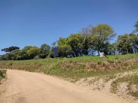 Imagem CHÁCARA COM 143.897M² NA REGIÃO DE BALSA NOVA