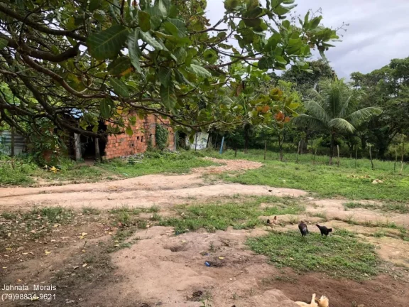 Imagem Lote de terreno no Socorro: Espaço amplo de 1200m²!