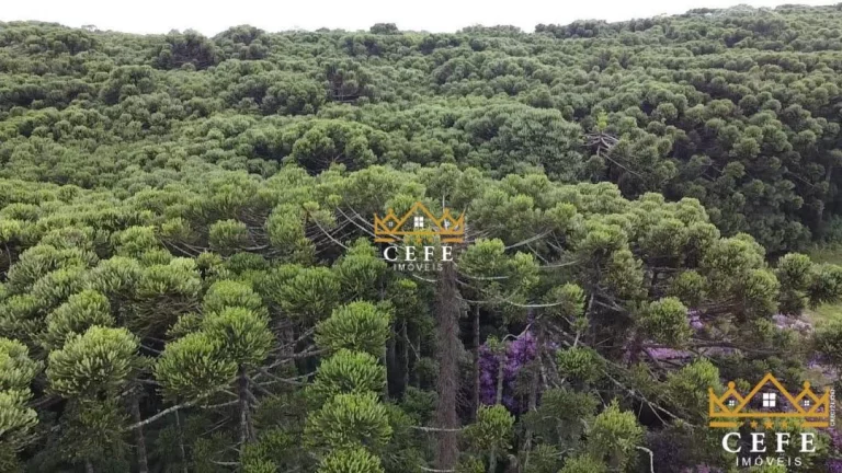 Imagem Sala Comercial à Venda, 200 m² em Serra Grande - Três Coroas