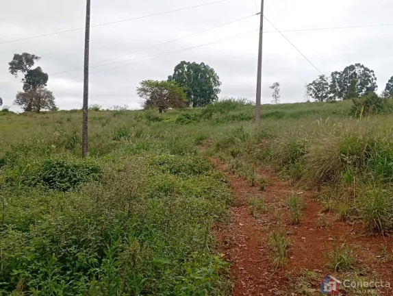 Imagem Fazenda à Venda em Patos de Minas – 6 Hectares na Zona Rural por R$ 1,8 Mi