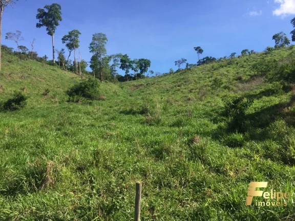 Imagem FAZENDA PRÓXIMO A COLATINA / REGIÃO NOROESTE