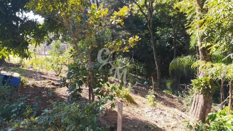 Imagem Terreno COM MAIS DE 3 MIL METROS Cafezal III