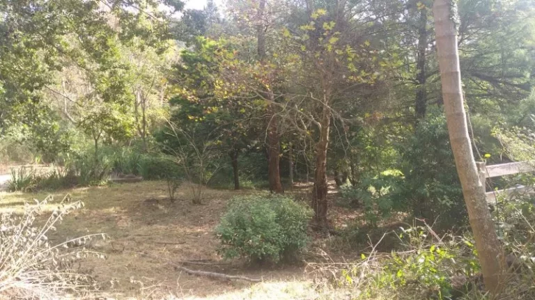 Imagem Sítio - Venda em Cabreúva e Região/SP