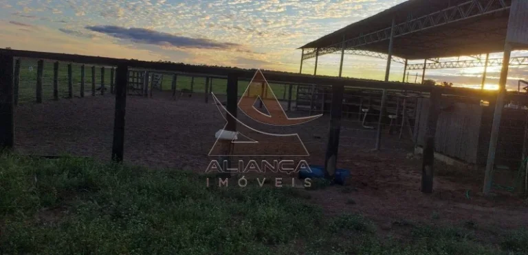 Imagem Fazenda - Guaraí - Guaraí
