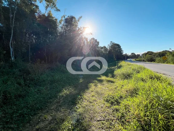 Imagem Área à venda | Pinheiros | Bal. Barra do Sul