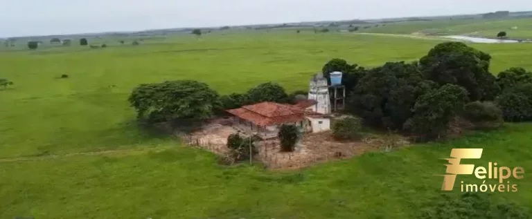 Imagem FAZENDA À VENDA EM TEIXEIRA DE FREITAS / BAHIA