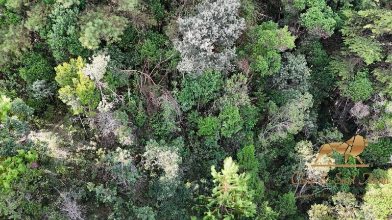 Imagem Terreno a venda em Campos do Jordão