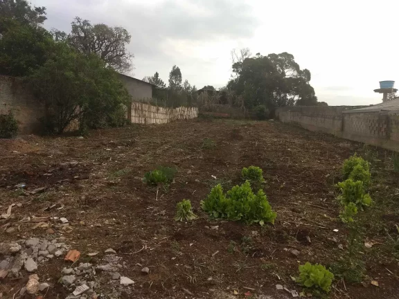 Imagem Terreno plano e murado para uso residencial, comercial e industrial