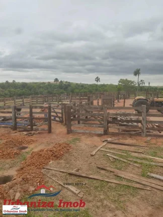 Imagem Fazenda à Venda no Município de Camapuã/MS contendo 1003 hectares com Formação 50% feito esse ano | Mangueiro Novo sendo finalizado | 18 KM da Rodovia